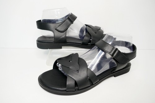 New hotter aurora - new, black